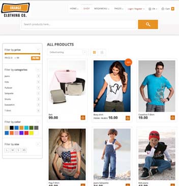 Ecommerce  Website Design And Development 