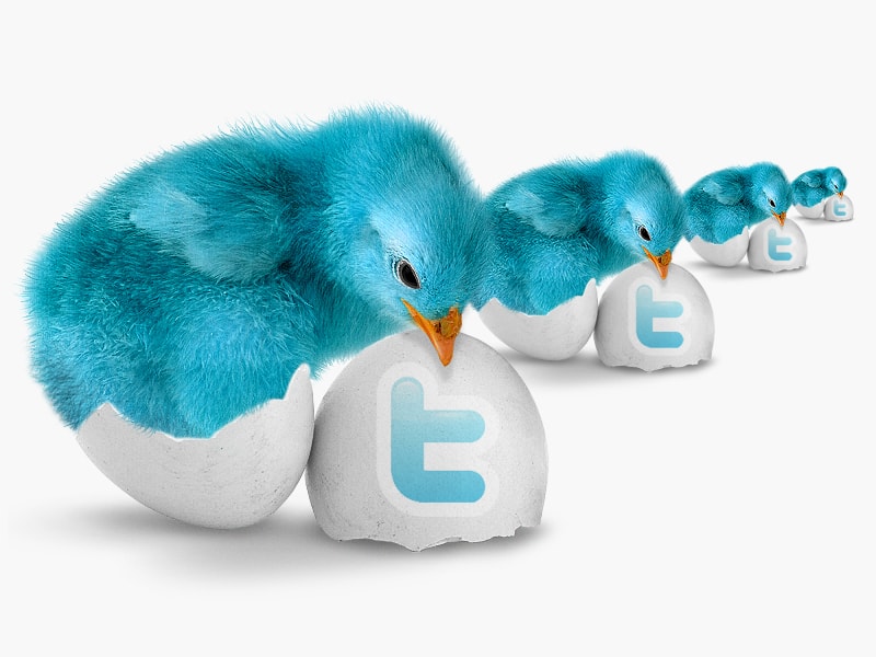 Twitter Marketing Services 