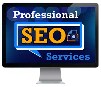 Professional SEO Services