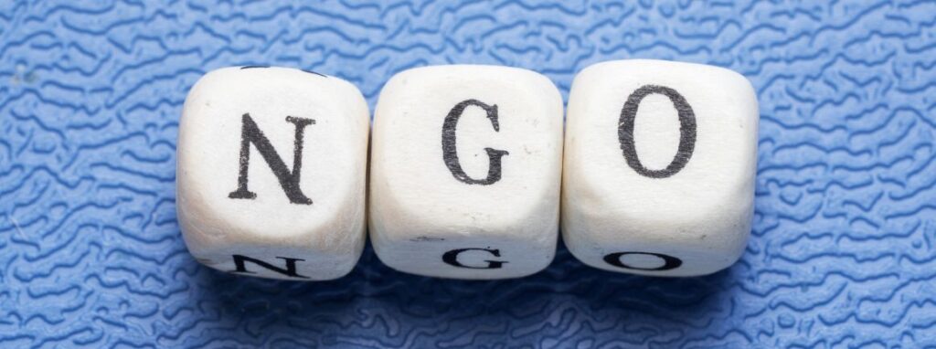 Maximize Fundraising: How Indian NGOs Can Revolutionize Their Online Presence!