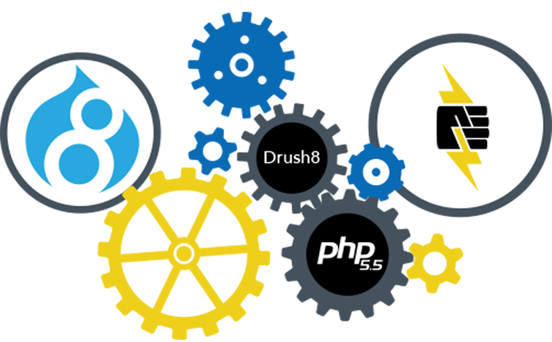 Custom Drupal Development Service Bangalore