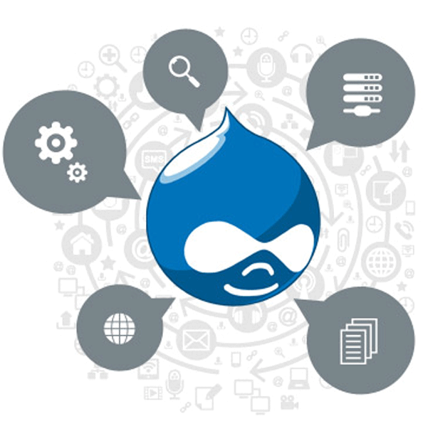 Drupal What to Expect