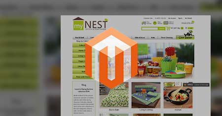 Magento Ecommerce Website Services