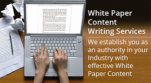 Whitepaper Content Writing Online