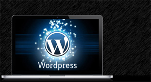 Wordpress Website Development Company Bangalore India