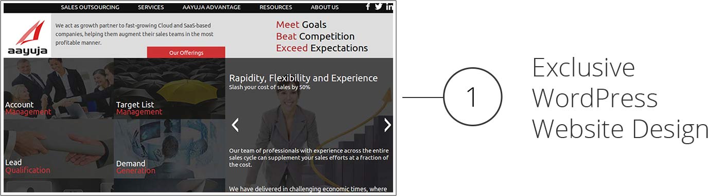Exclusive WordPress Website Design