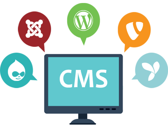Content- Management System Website Developement Bangalore