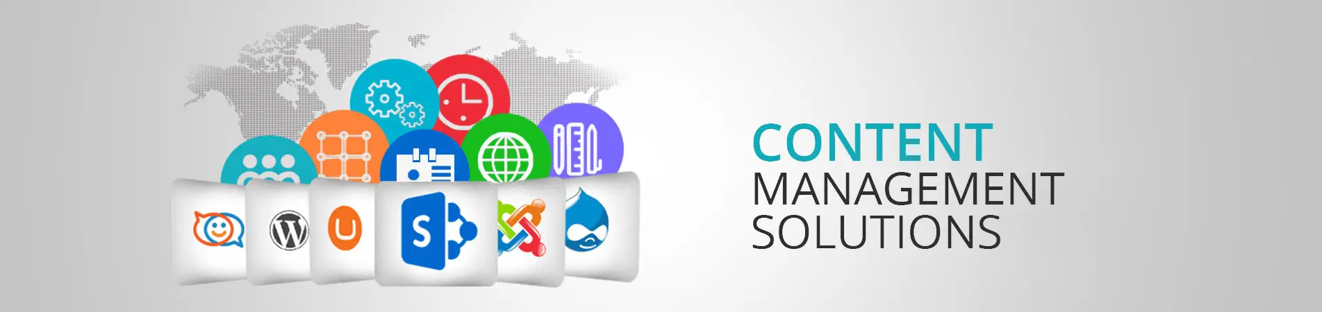 CMS Website Design & Development Company – Nispaara