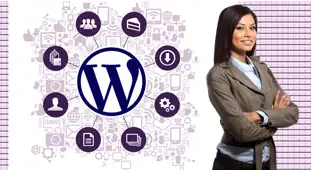 Ongoing WordPress Maintenance and Support Services