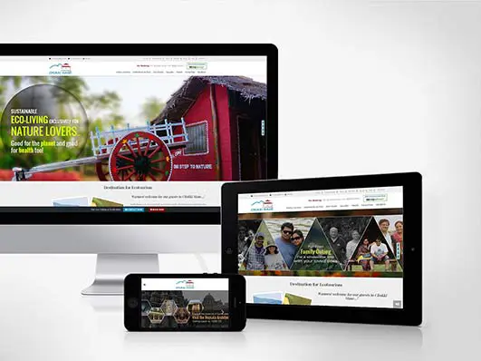 Professional Web Developers Working on Project