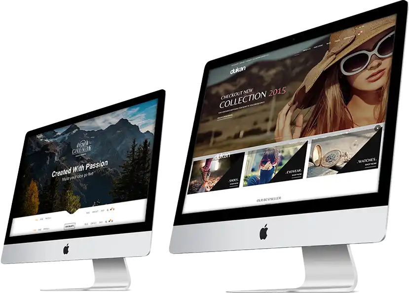 Website Redesign and Ongoing Maintenance Support