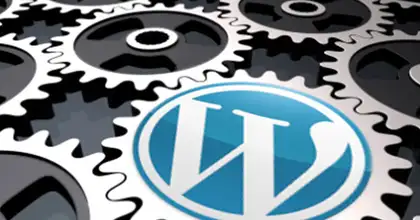WordPress Plugin Development and Integration Services