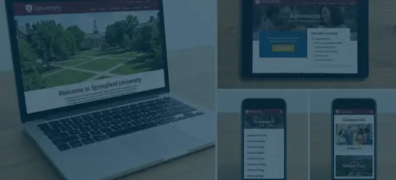 School College Website Design